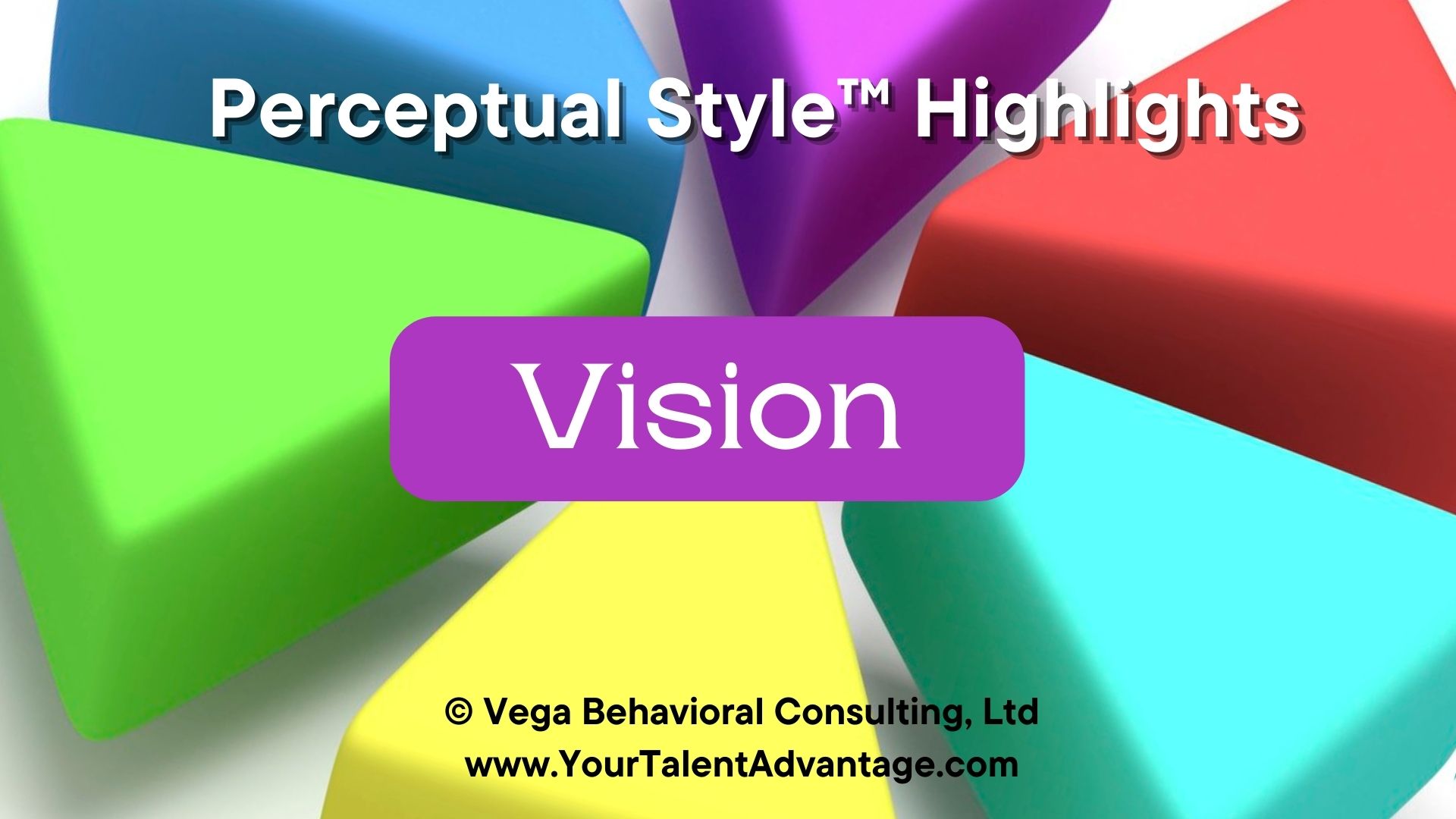 Vision - Perceptual Style Highlights link