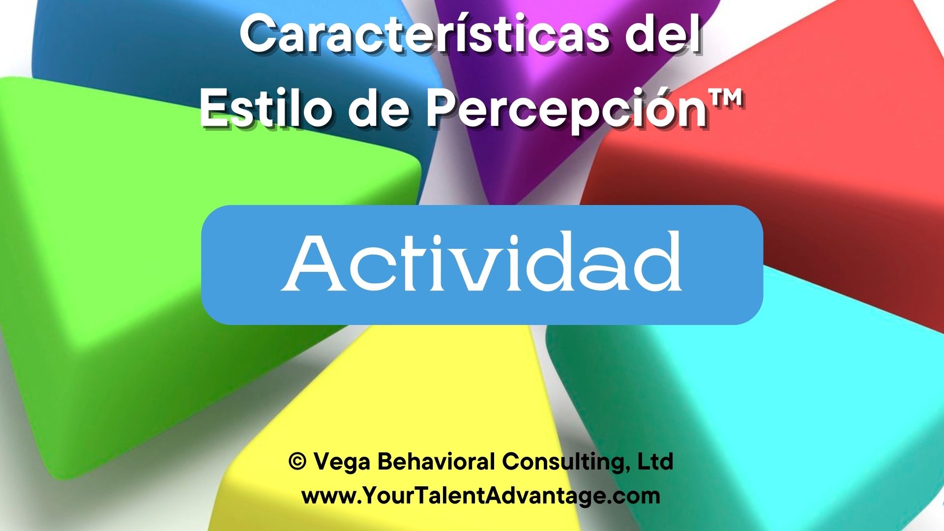 Estilo de Percepción llamado Actividad