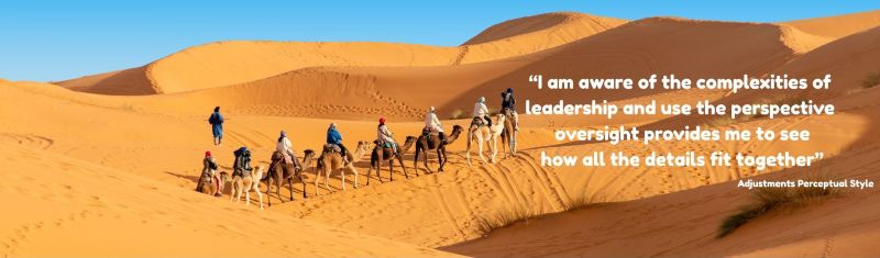 a caravan trekking through the desert with the quote: "I am aware of the complexities of leadership and use the perspective oversight provides me to see how all the details fit together" - Attributed to an Adjustments Perceptual Style person.