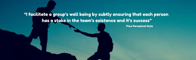 Silhouette of a person helping another up an incline with the quote: "I facilitate a group's well being by subtly ensuring that each person has a stake in the team's existence and it's success" - Attributed to a person with the Flow Perceptual Style