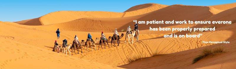 Desert caravan representing Flow Perceptual Style leadership with quote about patience and preparation