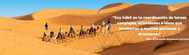 Una caravana recorriendo el desierto con la cita: «Soy hábil en la coordinación de tareas complejas, actividades e ideas que involucran a muchas personas y direcciones» - Atribuido a una persona con el Estilo de Percepción denominado Actividad