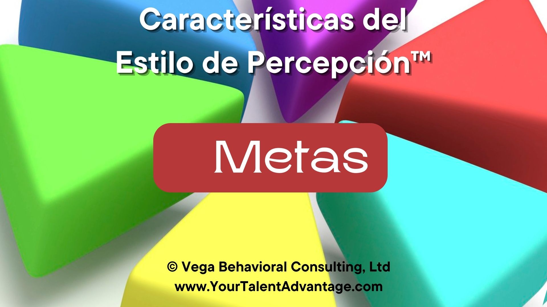 Estilo de Percepción llamado Metas