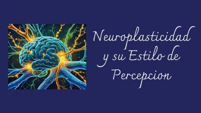 Cerebro con vías neuronales brillantes que representan la neuroplasticidad, fusionado con un símbolo abstracto que simboliza el Estilo de Percepcion.