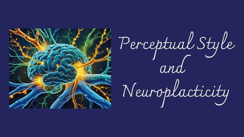 Brain with glowing neural pathways representing neuroplasticity, merging with an abstract lens symbolizing Perceptual Style.