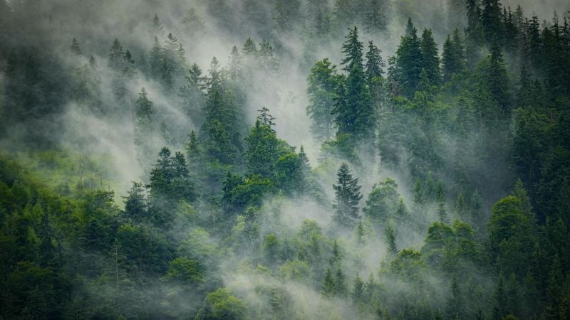 The Wisdom of not Knowing