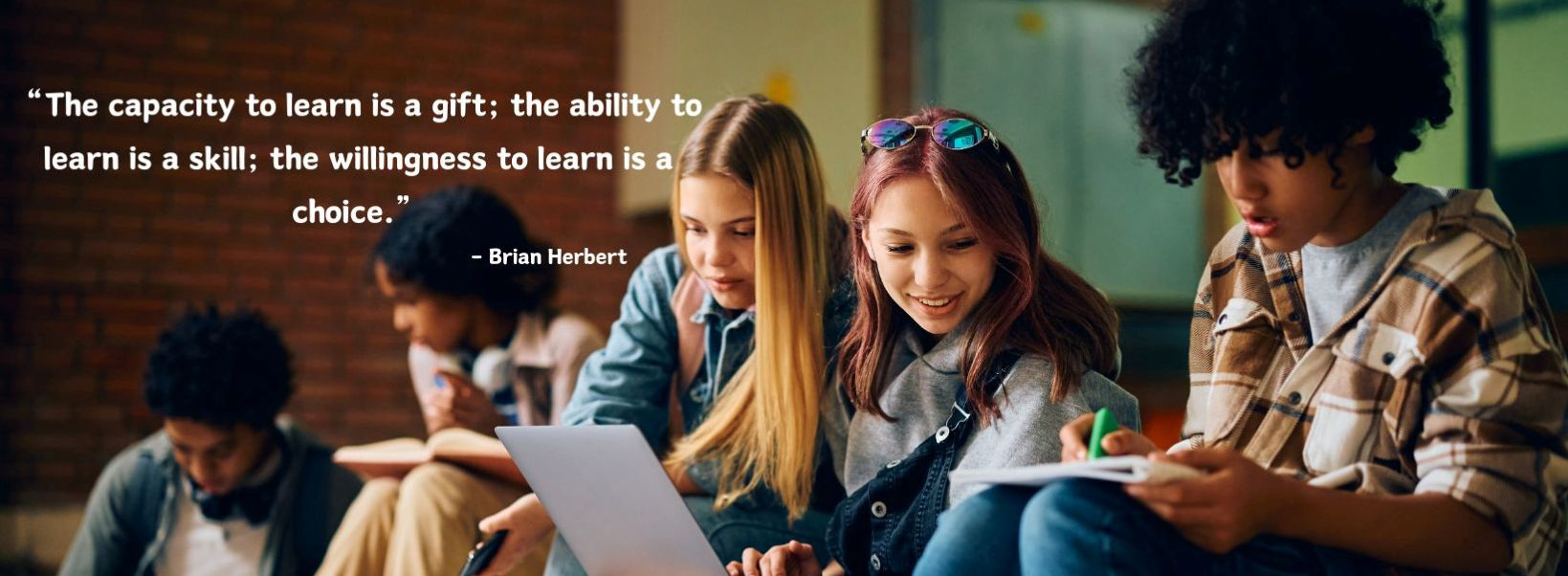 The capacity to learn is a gift; the ability to learn is a skill; the willingness to learn is a choice. - Brian Herbert