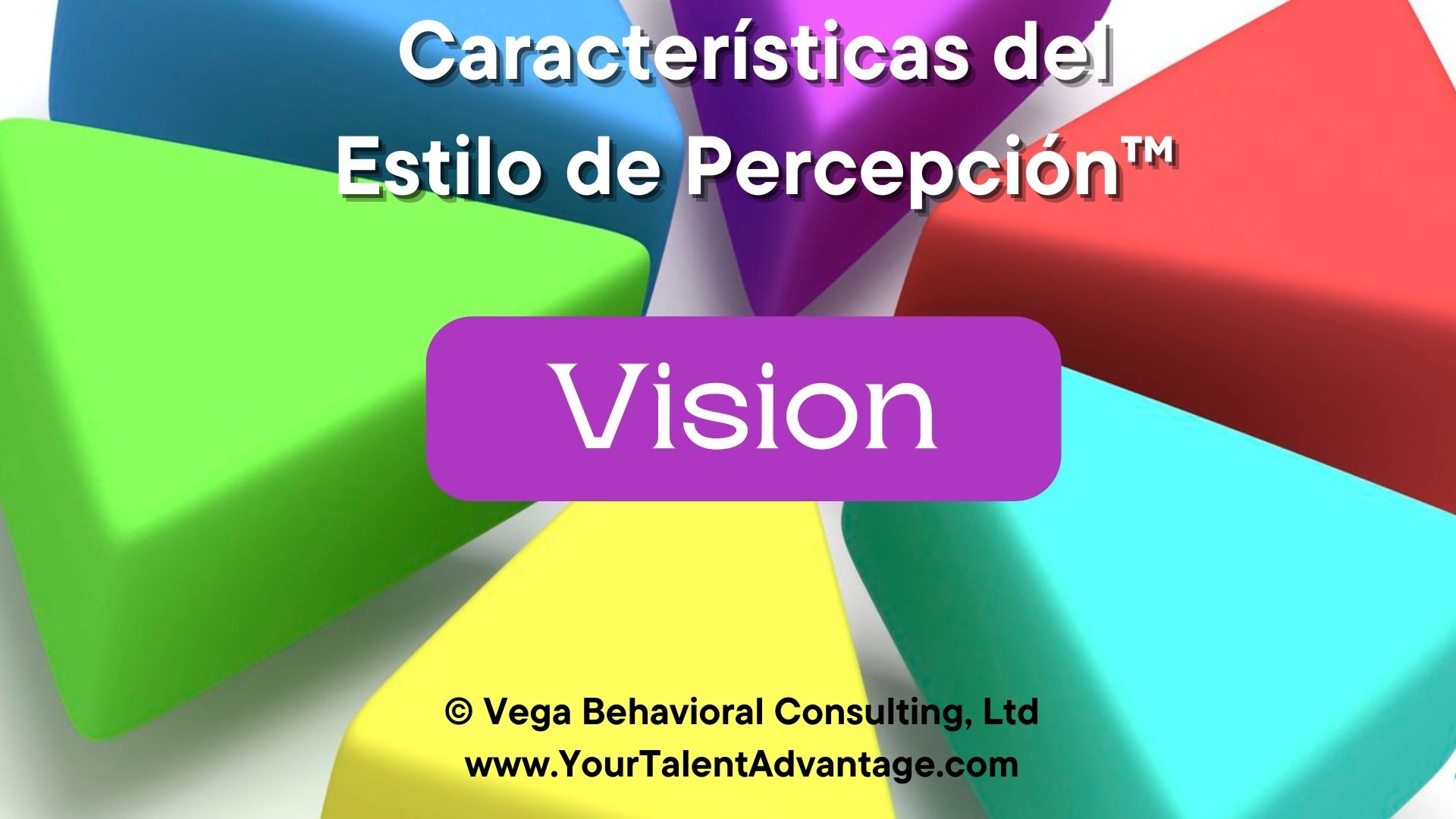 Estilo de Percepción llamado Vision